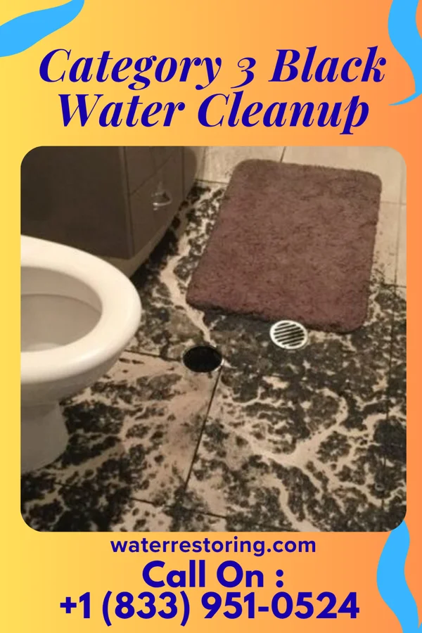 Category 3 Black Water Cleanup in Compo, CT