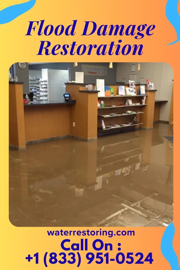 Flood Damage Restoration in Compo, CT