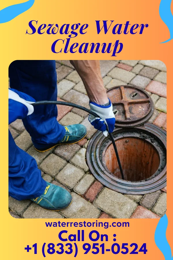 Sewage Water Cleanup in Compo, CT